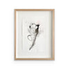11 Study for dissolving a figure 10 Angéline Catteeuw 