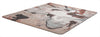 Anatomy of the iron will (B234) Angéline Catteeuw 